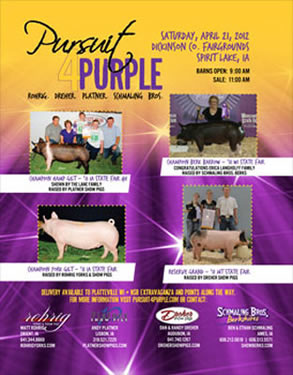 Pursuit 4 Purple Spring 2012 Ad
