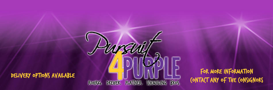Pursuit 4 Purple - Rohrig, Dreher, Platner, Schamling Bros